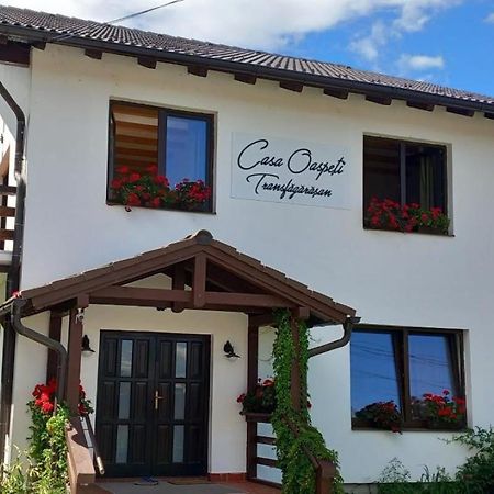 Casa Oaspeti Transfagarasan Apartamento Cîrţişoara Exterior foto