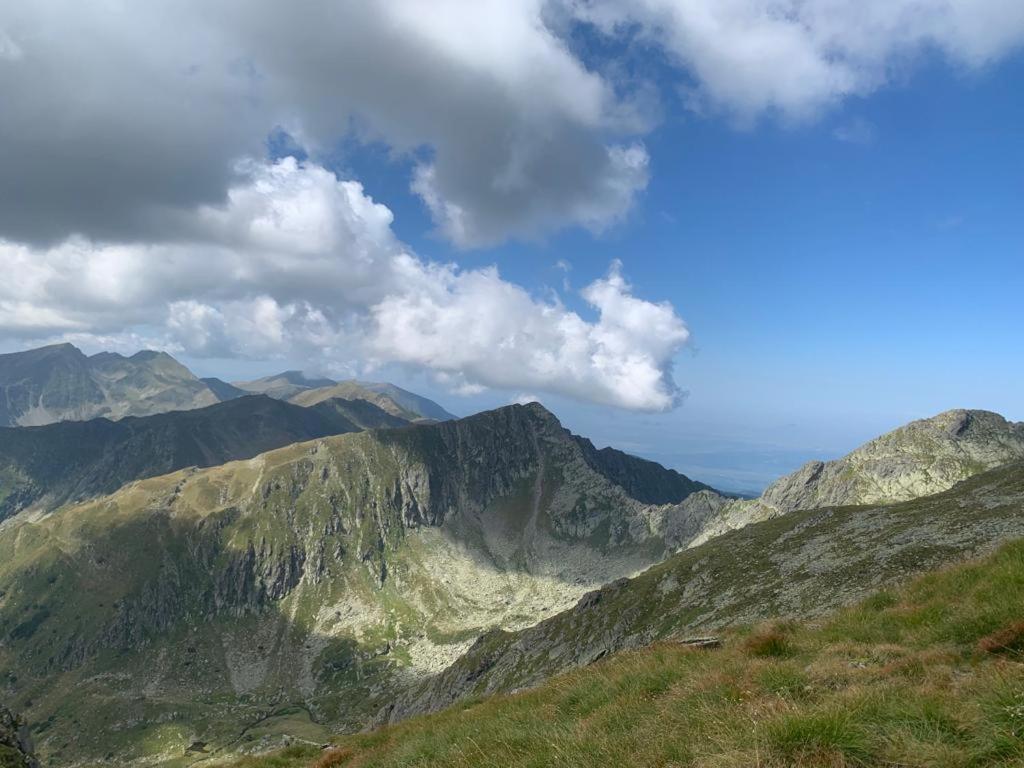 Casa Oaspeti Transfagarasan Apartamento Cîrţişoara Exterior foto