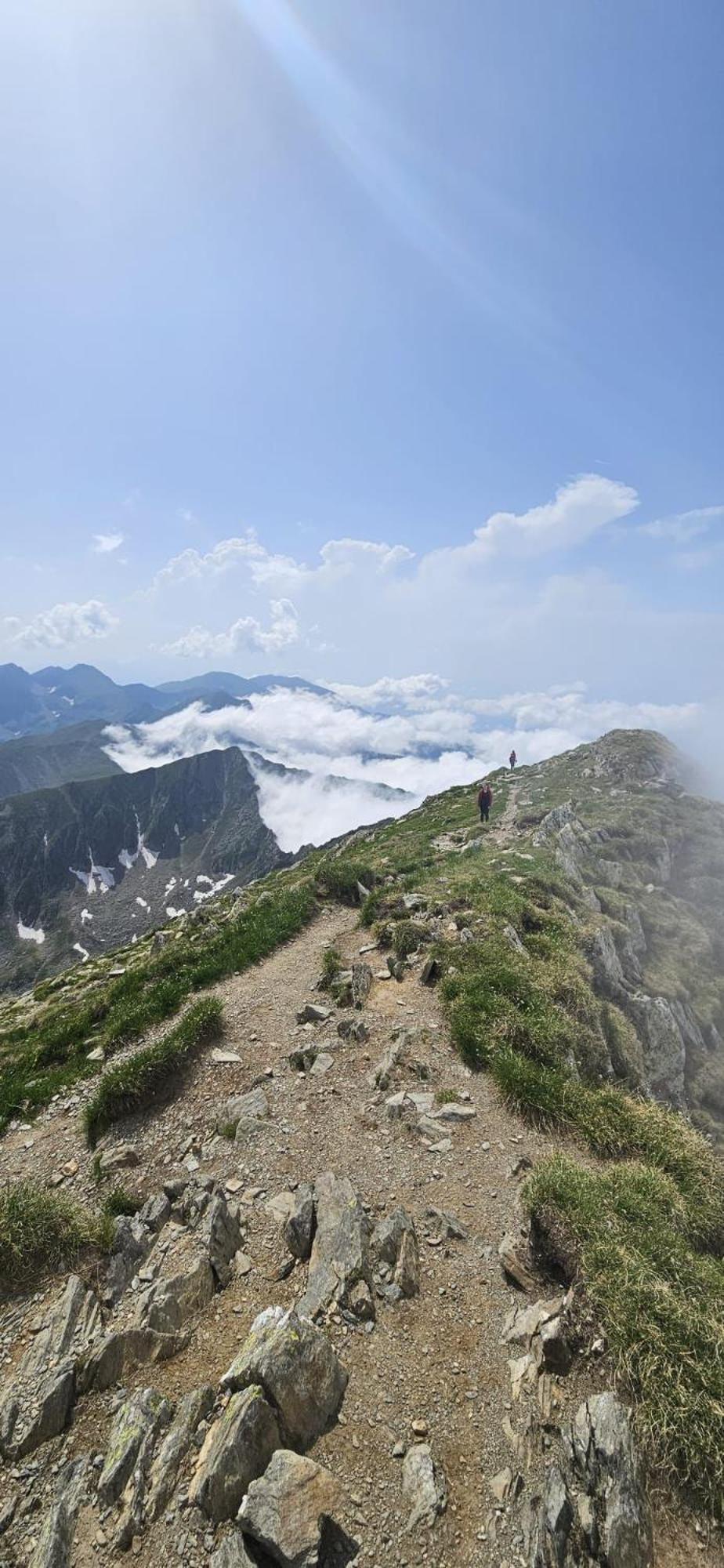 Casa Oaspeti Transfagarasan Apartamento Cîrţişoara Exterior foto